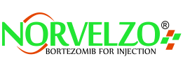 Bortezomib (Norvelzo)-logo
